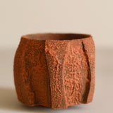 Glenn Dane 'Silver Birch Cup IV'