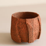 Glenn Dane 'Silver Birch Cup IV'