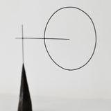 Liisa Hashimoto 'Antenna Roof'