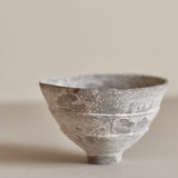 Glenn Dane 'Silver Birch Cup IX'