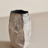 Glenn Dane 'Silver Birch Vase I'