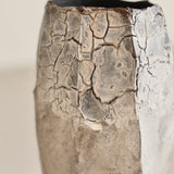 Glenn Dane 'Silver Birch Vase I'