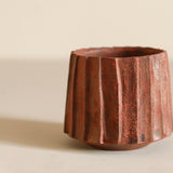 Glenn Dane 'Silver Birch Cup V'