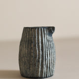 Glenn Dane 'Silver Birch Pouring Vessel II'