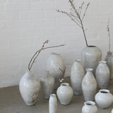 Rhona Frances 'Prussia'