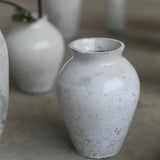 Rhona Frances 'Prussia'