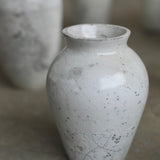 Rhona Frances 'Prussia'