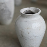 Rhona Frances 'Prussia'