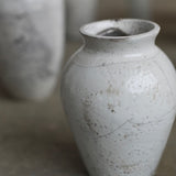 Rhona Frances 'Prussia'