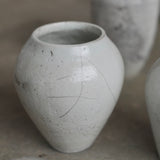 Rhona Frances 'Carbis'