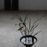 Yoko Ozawa '盃 Hai Tall Bowl III'