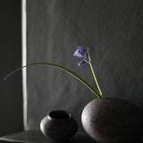 Kazunori Ohnaka Pot 8
