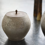 Masaaki Iwasa 'Silver Glazed Water Jar II'
