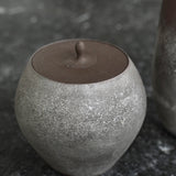 Masaaki Iwasa 'Silver Glazed Water Jar II'