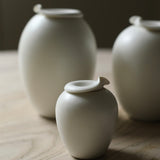 Jo Davies 'Small Curl Vessels'