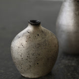 Masaaki Iwasa 'Silver Glazed Flower Vase VI'