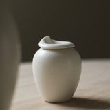 Jo Davies 'Small Curl Vessels'