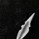 Fumiko Nagano 'Yukidoke Shell'