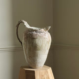 Abigail Schama 'The Wrangler'