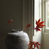 Abigail Schama 'A Grain of Sand'