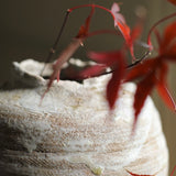 Abigail Schama 'A Grain of Sand'