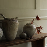 Abigail Schama 'The Wrangler'