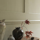 Abigail Schama 'Spirogyra'