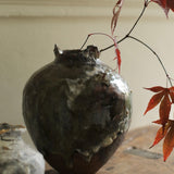 Abigail Schama 'Spirogyra'