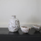 Abigail Schama 'Sake Set 2'