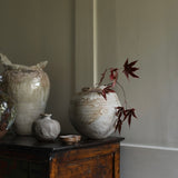 Abigail Schama 'The Wrangler'