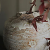 Abigail Schama 'A Grain of Sand'