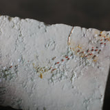 Asaho Kamiya 'Kaishi Dessert Plate 菓子皿 懐紙型 27a'