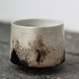 Masaaki Iwasa 'Silver Glazed Tea Bowl V'