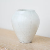 Rhona Frances 'Carbis'