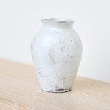 Rhona Frances 'Prussia'