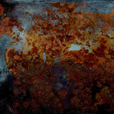 Josephine Cottrell Copper Landscape 25 Framed