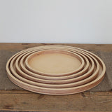 Set of 5 Trays